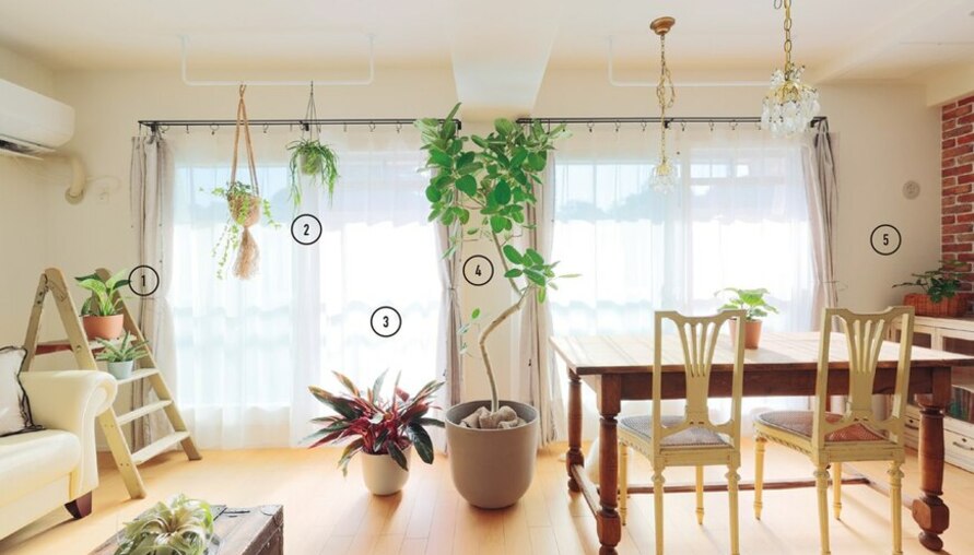 開啟你的「植」覺！5招打造有層次的綠意空間
