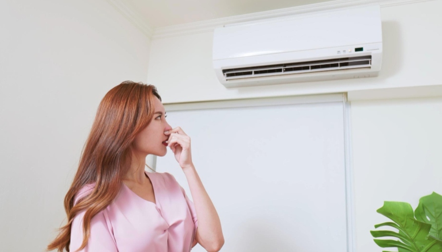 電費變高、衣服越洗越臭？4個冷氣與洗衣機保養重點
