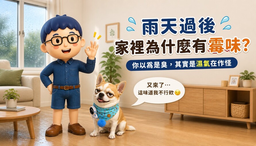 雨天過後，為什麼家裡會有霉味？