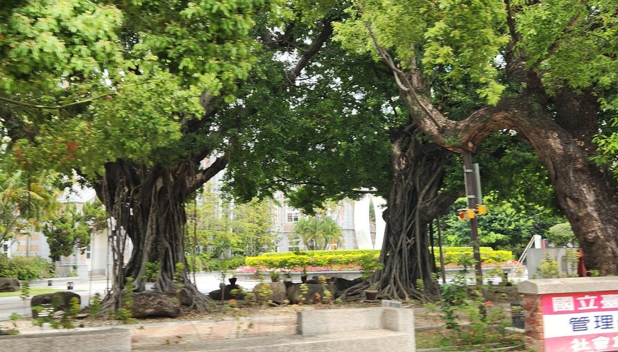 繼承、遺囑取得土地規定大不同！漏掉這件事無法過戶