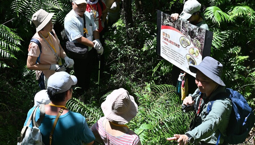大崙頭山森活體驗課10/2開放報名 親子走進台北公有林 體驗森林永續經營