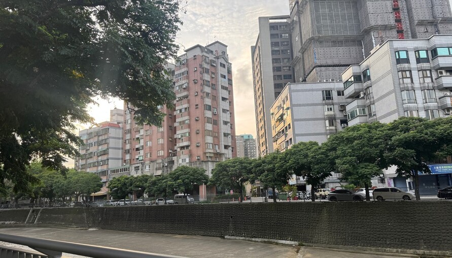 「砍樹當日常、種樹當政績！台灣都市綠化 根本是『先破壞再表演』」