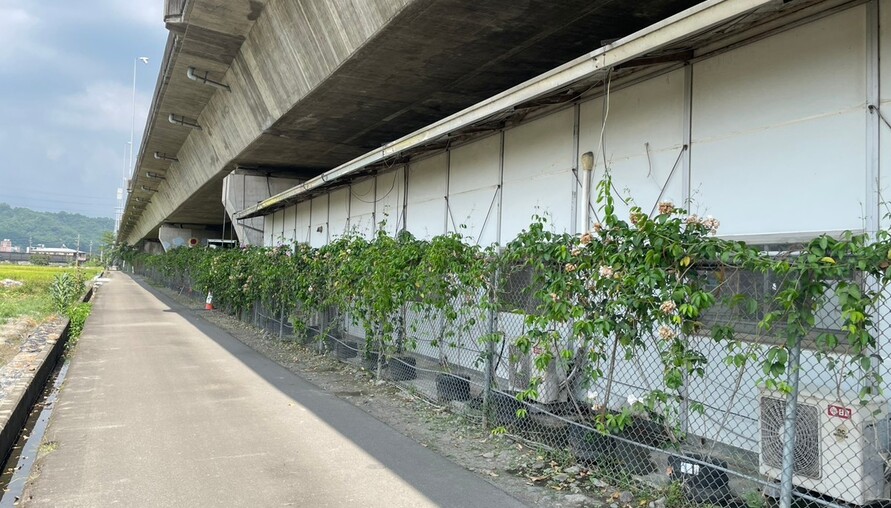 廢輪胎變花盆、寶特瓶變澆水神器！台中霧峰清潔隊巧手改造　橋下空間變身綠意小天地