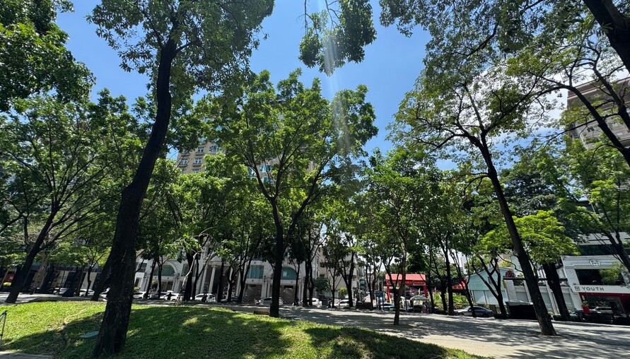 屋主3年翻倍賣房合理嗎？不想當韭菜出價策略大公開