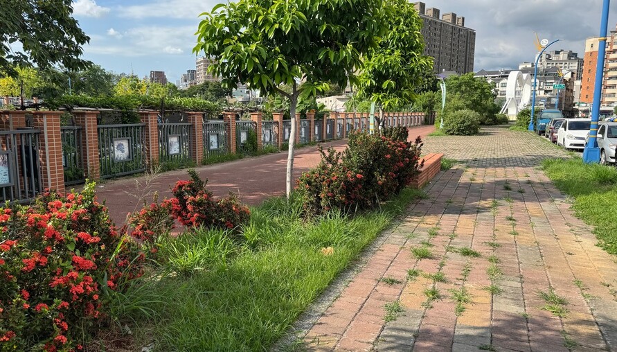 碳封存管理辦法草案跨部會協商中 環境部目標115年完成發布