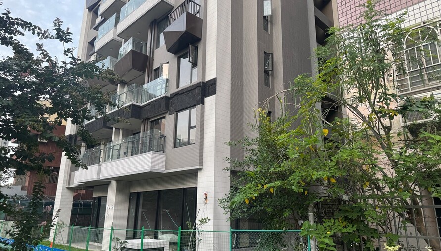 隔壁空屋長樹壓牆誰負責？住戶憂牆倒人傷，求助無門曝管理死角