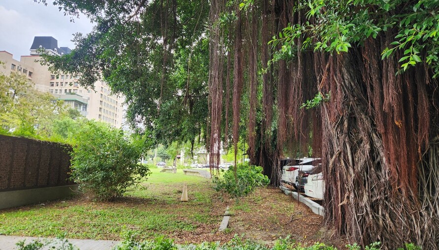 持分只有1/4也能大逆轉！家族土地原本要被「七折賣掉」　他靠一招找金主反殺全場：真正的勝利者竟不是買方