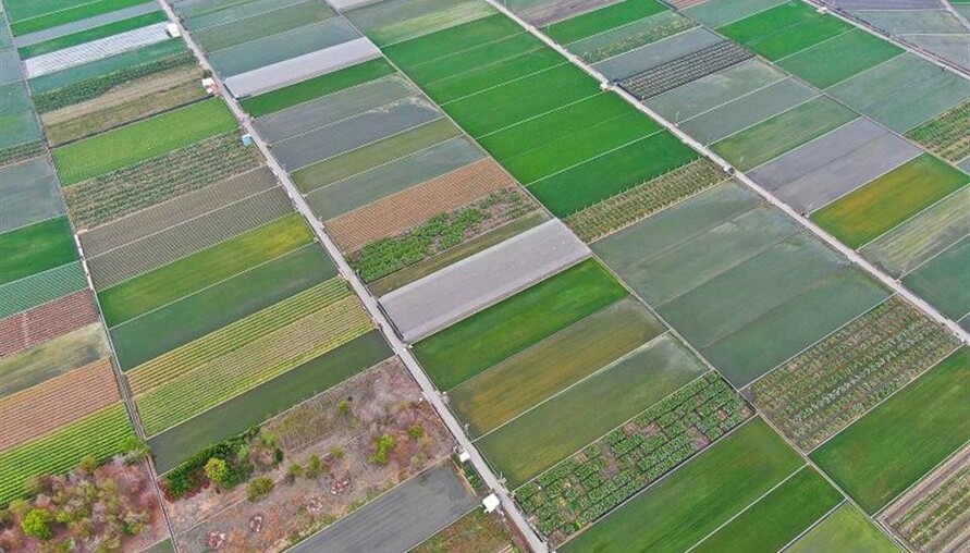 彰化縣12月15日辦理農地重劃區抵費地標售 26筆土地釋出農耕新機會 | M傳媒