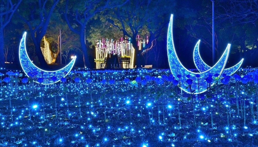 「2025 沙鹿嘉年華」16 大主題燈區點亮海線浪漫冬夜