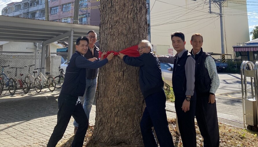 百年樟樹、日式老屋與珍貴檔案！東勢地政「護產傳承嘉年華」帶你穿越百年土地故事