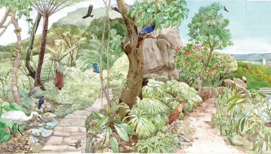 白天黑夜都精彩，一起走進臺北淺山的秘密世界！