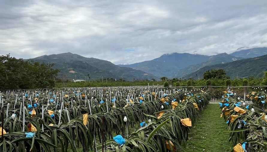延宕近30年 公地放領終實現！ 臺東縣全國首例通過縣有地放領審議 落實遲來土地正義