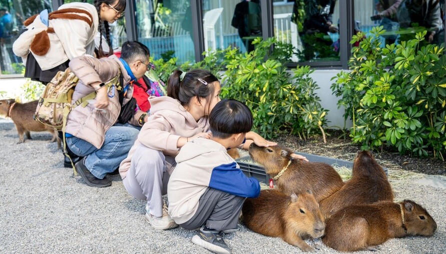 內門觀光休閒園區「野森動物學校」試營運 陳其邁：打造東高雄新亮點 攜手地方共好