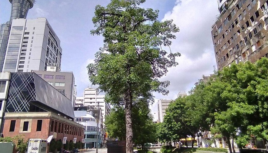 買近十年新房子，為什麼建材問題特別多？  這不只是工班施工爛，是整個蓋房子的「邏輯」變了！