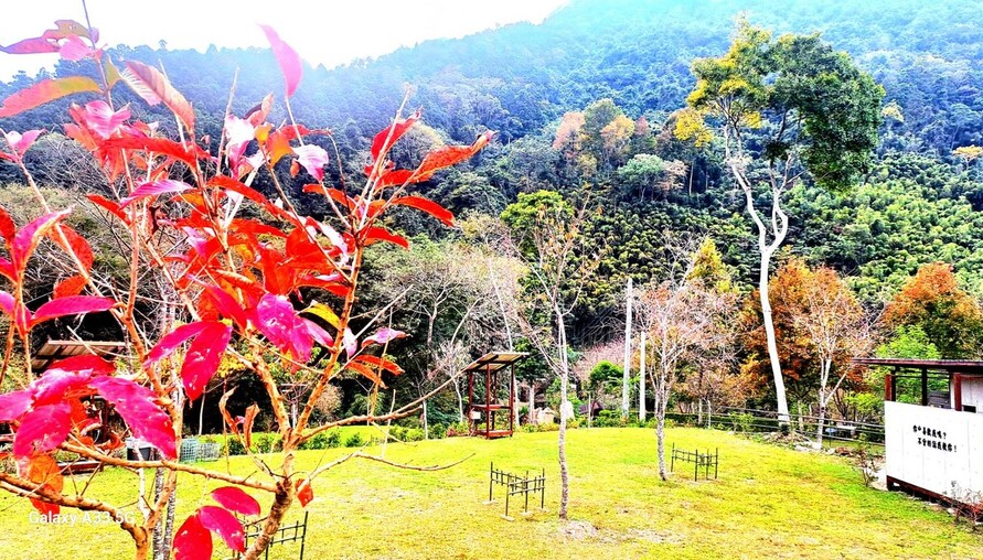 竹縣露營場合法化添新頁! 核發首件農牧用地露營場登記