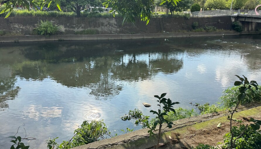 土方去化變方便門？南市開放異地暫置與交換利用　業界憂：恐成偷倒新漏洞