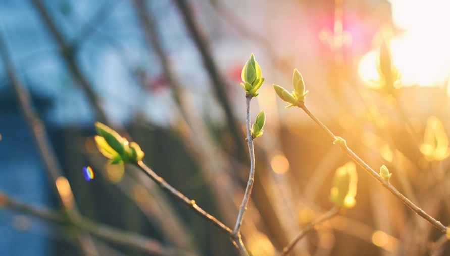 【風水特輯】立春到！食衣住行育樂開運養生與禁忌一次看