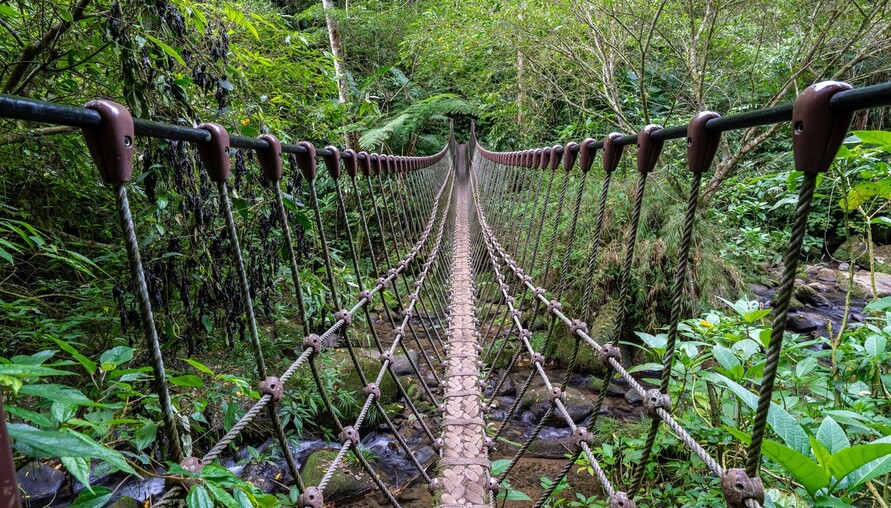 馬到成功迎新春！竹縣精選3條「馬」字步道 邀民眾健行迎好運