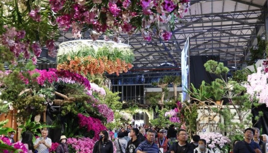 AI花海邂逅春日浪漫　2026臺灣國際蘭展串聯燈會打造婦女節賞花新體驗