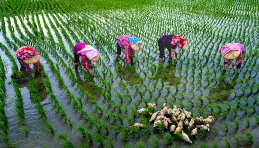 「米蘭之鄉•後壁之美攝影展」永華市政中心隆重登場