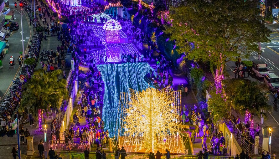 大家搶著拍！新莊中港光雕展2週衝破58萬人次 週末出遊首選