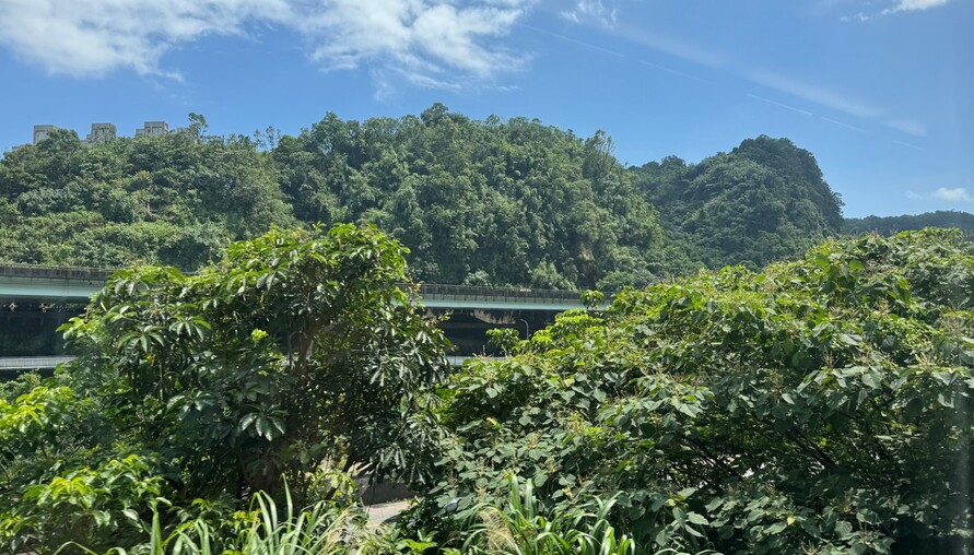 國產署出動無人機！航拍2.8萬公頃國有地，抓占用、管太陽能、盯漁電共生