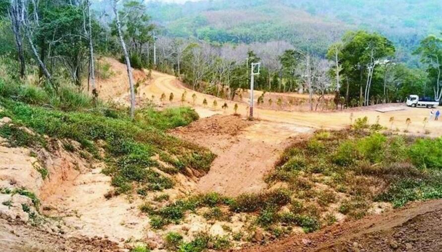 只是整地種薑竟挨罰30萬！山坡地沒申請就動工，罰單等你收