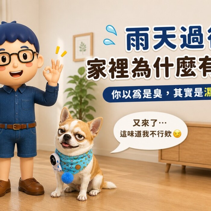 雨天過後，為什麼家裡會有霉味？