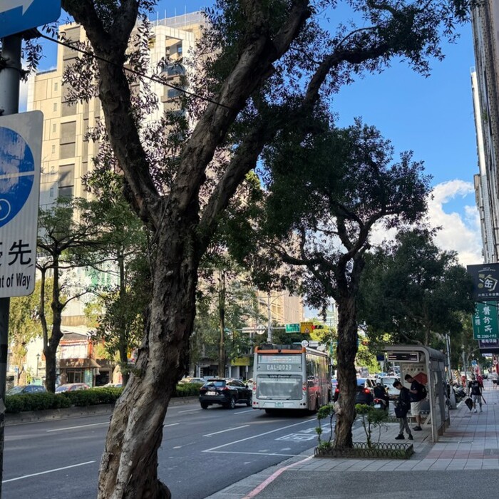 房地合一稅自住400萬免稅額不是人人都有！國稅局：持分賣多少算多少，一屋不能享數個全額優惠！