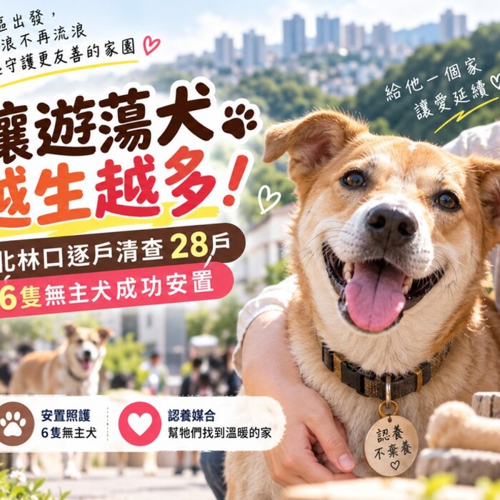 新北林口出招管遊蕩犬！逐戶清查28戶　6隻無主犬成功安置