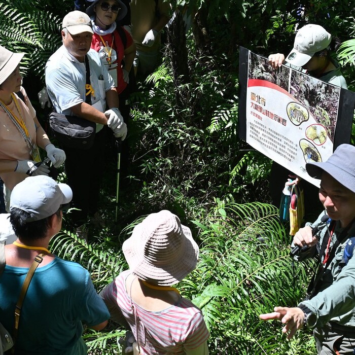 大崙頭山森活體驗課10/2開放報名 親子走進台北公有林 體驗森林永續經營
