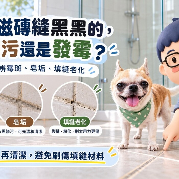 浴室磁磚縫黑黑的，是髒污還是發霉？3種狀況教你分辨，清潔別再猛刷！