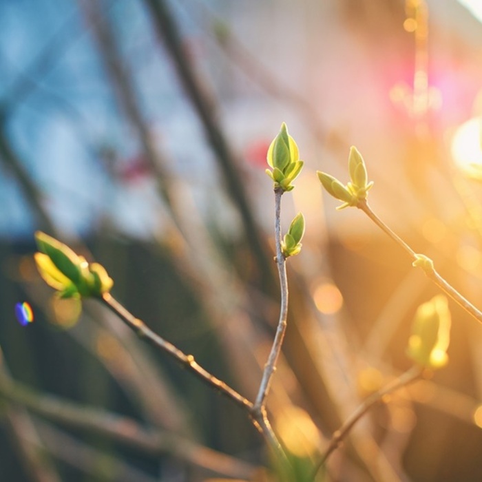【風水特輯】立春到！食衣住行育樂開運養生與禁忌一次看