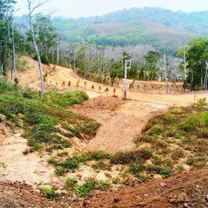 只是整地種薑竟挨罰30萬！山坡地沒申請就動工，罰單等你收