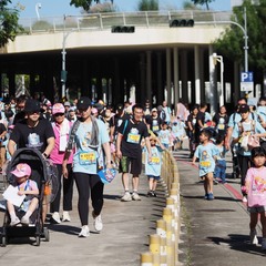 路線環中央公園而跑-適合親子及各年齡層參與(圖片取自台中市政府網站)